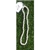 Image 1 : Prehistoric Shell Beads