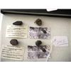 Image 1 : Group of Meteorite