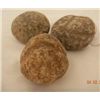 Image 2 : Three California Stone Bolo Weights