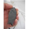 Image 3 : Cumberland Fluted Point