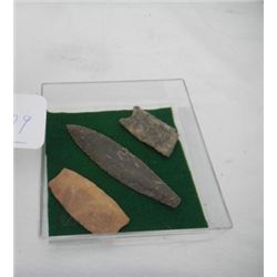 Collection 3 Paleo points