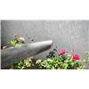 Image 8 : Persian Dagger