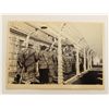 Image 4 : Lot of 9 Photos of Holocaust Concentration Camps