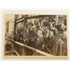 Image 6 : Lot of 9 Photos of Holocaust Concentration Camps