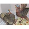 Image 7 : (3) Wild Turkey Limited Edition Decanters