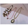 Image 1 : Costume Jewelry Necklace Lot