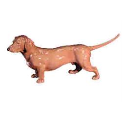 DACHSHUND