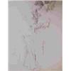Image 1 : JAN PREISLER 1872 Popovice (Beroun) - 1918 Prague Sketch for Seduction