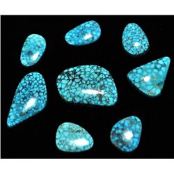 Non-Native Spider Web Kingman Turquoise Stone Lot - 8 Stones - 126 Carat