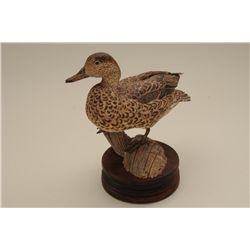 Excellent carved green wing teal wood carving  on stand by  Greg Woodward two time world  champion a
