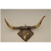 Image 2 : Old horn hat rack mounted on board covered  with multi-colored woven material in overall  uncleaned 