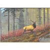 Original oil painting on artist board signed  lower right Michael Coleman portraying elk in  high mo