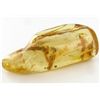 Image 1 : 255ct Natural Peru Amber Rough HUGE w/Insects! (MIN-002515)