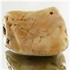 Image 1 : 170ct Natural Color Tan Salmon Coral Branch (MIN-001071)