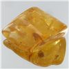 Image 1 : 80ct Natural Peru Amber Rough HUGE w/Insects! (MIN-002476)