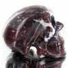 Image 2 : 1510ct Hand Carved Agate Skull (MIN-001701)