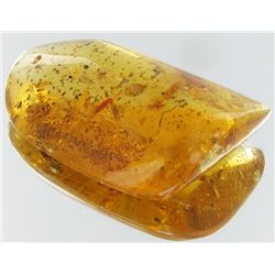 75ct Natural Peru Amber Rough HUGE w/Insects! (MIN-002465)