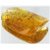 Image 1 : 75ct Natural Peru Amber Rough HUGE w/Insects! (MIN-002465)