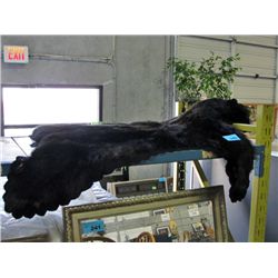 Black bear rug; professionally taxidermied