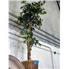 Image 1 : Approx 7F tall artificial tree