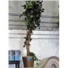 Image 1 : Approx 7F tall artificial tree