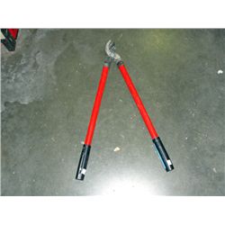 One pair of pruners