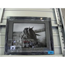 Framed Print