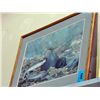 Image 1 : Framed rainbow trout after the fly print