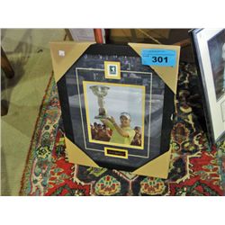 Framed LPGA annika sorenstam print