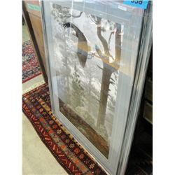 Framed Print by Daniel Smith