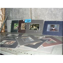 Large lot of assorted wildlife prints