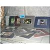 Image 1 : Large lot of assorted wildlife prints