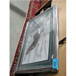 Framed Print by Ron Parker