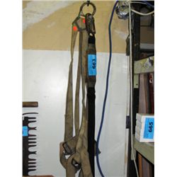 Safety harness
