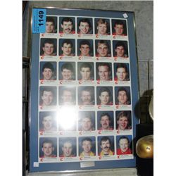Framed calgary flames trading card sheet