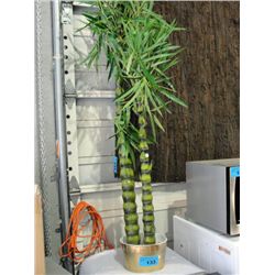 Approx 5F tall artificial bamboo palm