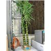 Image 1 : Approx 5F tall artificial bamboo palm