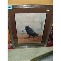 Framed Print by Hurlzmeir