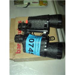 Pair of binocular liqour flasks