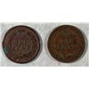 Image 2 : 1875 FINE (RIM BUMP) & 1876 AG (DAMAGED) INDIAN HEAD CENTS