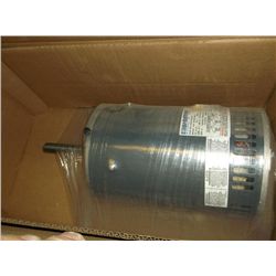 Marathon FWF-56TBO55198 Motor