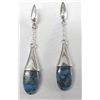 Image 1 : Arizona Blue Turquoise Sterling Dangle Earrings