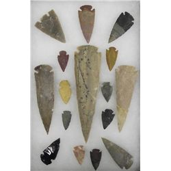 Collection of Arrowheads in Riker Box