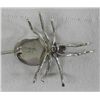 Image 4 : Sterling Silver Beetle Pin - LMY