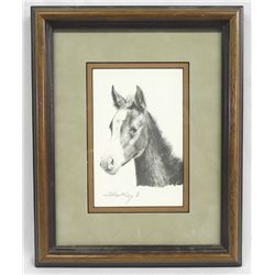 Framed Signed Print Foal - Robert Shoofly Shufelt