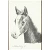 Image 2 : Framed Signed Print Foal - Robert Shoofly Shufelt