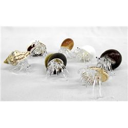 Collection of Glass and Shell Hermit Crabs