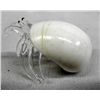 Image 2 : Collection of Glass and Shell Hermit Crabs