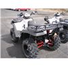 Image 3 : 2004 - POLARIS 700 SPORTSMAN
