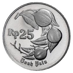 INDONESIA: 25 rupiah, 1995